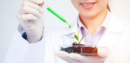 Medical Research Laboratory: Advanced Scientific Lab for Medicine, Biotechnology, Microbiology Development. Hands Close-upの写真素材