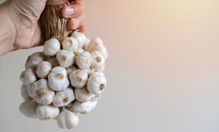 Close up of Asain woman farmer hand holds a harvest of garlic. Selective focus. Nature.bunch of garlic.の写真素材