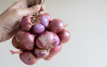 Cropped image of Asian woman hand holding red onion bunch with light beige background. Close up.の写真素材