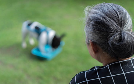 Domestic dog with Asian owner enjoy urban outdoor lifestyle on summer vacation. Pet Humanization concept.の写真素材