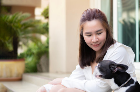 Selective focus. Portrait of smiling young Asian woman looking her boston terrier dog at home. True friendship, wonderful happy momentsの写真素材