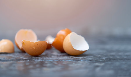 Group of broken eggshells  on a gray stone floor background. Eggshells are brown, brittle and thin, easily broken.の写真素材