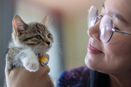 Portrait of woman holding cute Muskin cat with brown eyes. Female hugging her cute long hair kitty....