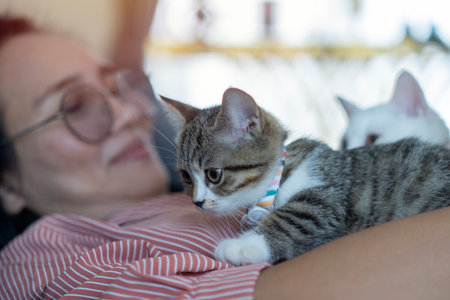 Woman in pink dress lyling together with the cats on her arm. Friendship rest unaltered. Selective focus at cat.の写真素材