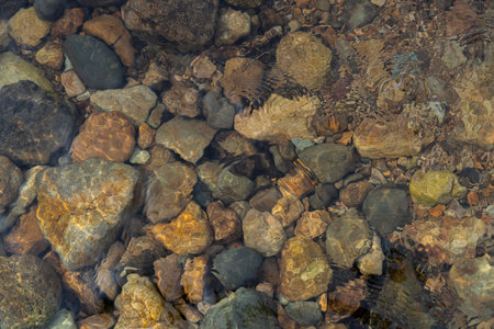 Waterfall stones in the water. Pebbles under water. The view from the top. Nautical background.の写真素材