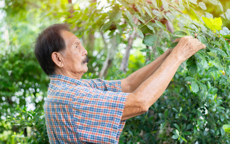 Side view portrait of happy grandfather working at home in garden. Elderly people lifestyle.