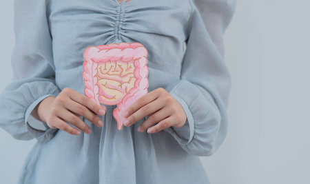 Shot view of woman in blue dress holding decorative model intestine on white background. Gastroenterology, healthy digestion, microbiome intestine concept. Close upの写真素材