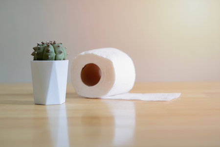 Hemorrhoid, constipation treatment health problems. Toilet paper an a cactus on the wooden table. Hemorrhoid problemsの写真素材