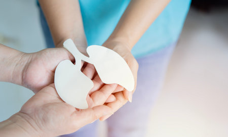 Selective focus of two hands holding lung, world tuberculosis day, world no tobacco day, lung cancer, Pulmonary hypertension, Pneumonia, copd, eco air pollution, respiratory and chest conceptの写真素材