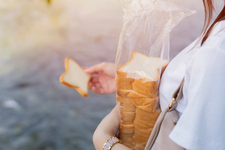 Bread for fish, it on hand for feeding to fish in pond, people relaxing by travel in river and feeding food for many fish in river. Selective focus.の写真素材