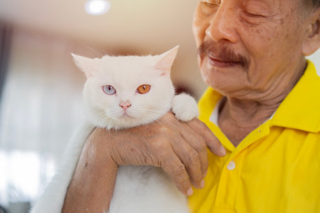 Senior Asian man petting his two colors eye cat on a sofa at home. Pet friendship concept. Selective focus.の写真素材