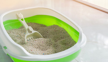 Light green cat litter tray put on the floor and beige litter and a scoop with copy space. Selective focus, Cat sandbox concept.の写真素材