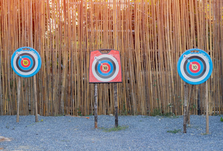 Archer's traget concept. Three archery targets against a bamboo wall backdrop.の写真素材