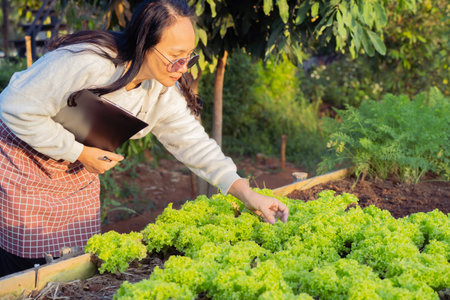 Organic farmer harvesting fresh vegetables and checking order list on her farm. Side view portrait.の写真素材