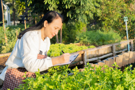 Mature Asian woman working and observing lettuce growth at her green nursery farm garden. Side view,...