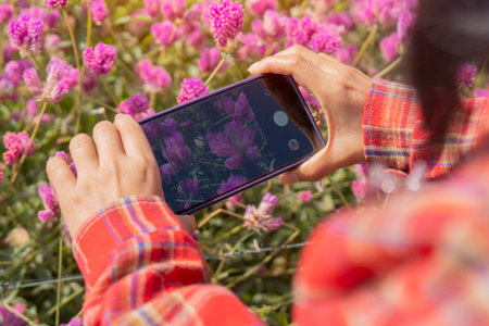 Young Asian female person take photograph with mobile phone beautiful blooming mountains flower. Close-up, selective focus.の写真素材
