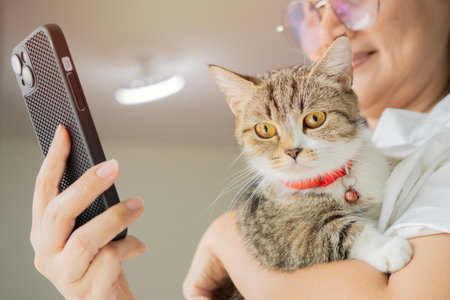 Woman holding a kitten with phone chatting using smartphone types message. Pet and owner communication human and animal friendship.の写真素材