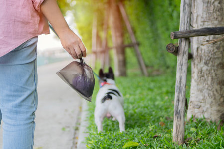 A responsible female dog owner holds a full dog waste bag at outdoors with her small dog on a leash next to her.の写真素材