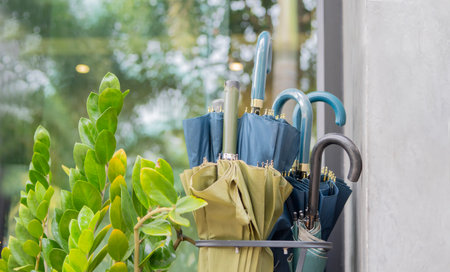 Umbrella storage rack with colorful umbrellas in front of the entrance with trees of the coffee shop.の写真素材