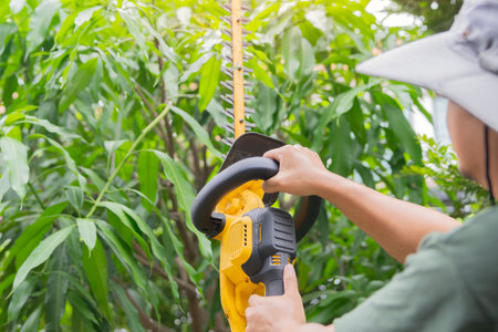 Rear view shot of man, cutting green bush. A man trims the hedges outside his home by electric...