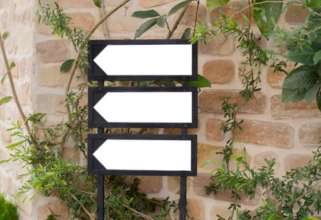 Direction sign with blank spaces for text at outside old building and tree branch on the background. Same way of arrow sign Empty boards for inscriptions.の写真素材