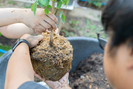 Asian couple watering plants take care of trees , happy couple gardening. Lifestyle couple concept....