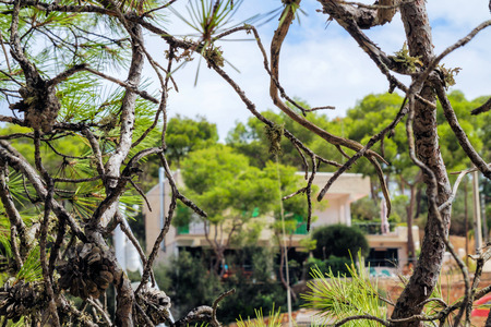 Nature - View down to Watersideの写真素材