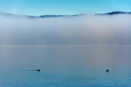 early morning photo with little birds and smoke on the waterの写真素材