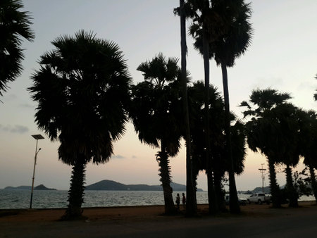Sea view in patayaの素材