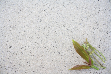 backgroundの写真素材