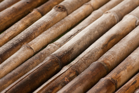 Bamboo wall backgroundの写真素材