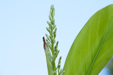 MonKhmer hill tribeの写真素材