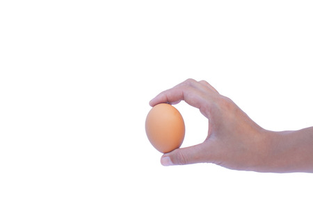 Hold the egg in hand White background.の写真素材