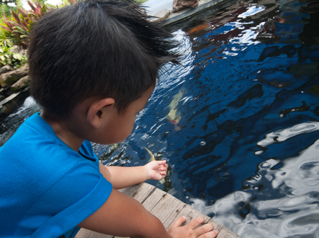 A child's hand extends out over the water.の写真素材