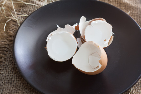 Eggshell containers on a wooden table