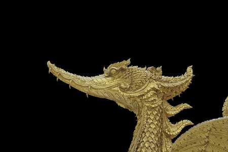 Swan golden statue isolated black background.の写真素材