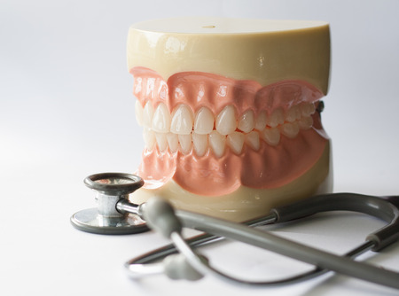 Dental concept. Photographs of jaws Model dental and medical equipment, white background. Closeup.の写真素材