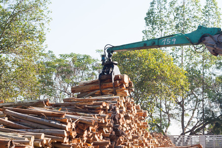 Transport timber By machine, the machine is working.の写真素材