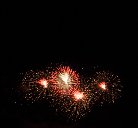 Night Fireworks show scene. Celebrated by a grand fireworks display (copy space).の写真素材