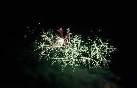 Night Fireworks show scene. Celebrated by a grand fireworks display copy space.の写真素材