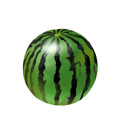 Watermelon Fruit Illustration Watercolorの写真素材