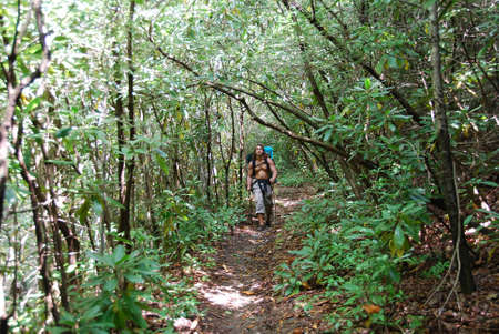 Young man hiking on the Appalachian trailの写真素材