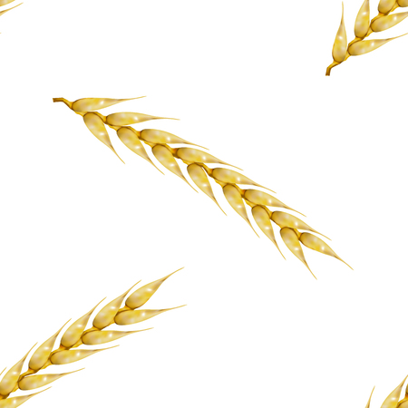 Seamless background from a set of photo realistic spikelets of wheat, vector illustration.のイラスト素材