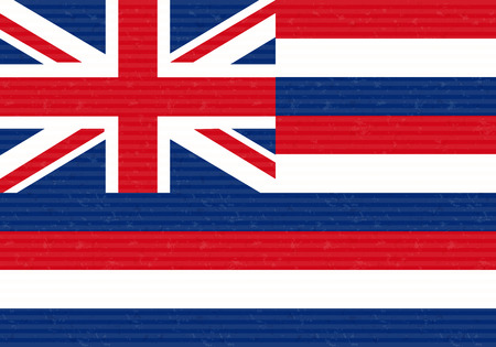 Flag of Hawaiiのイラスト素材