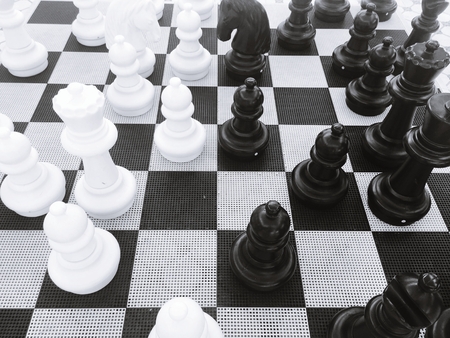 Chess board game strategyの写真素材