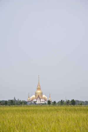thai temple and rice fieldsの写真素材