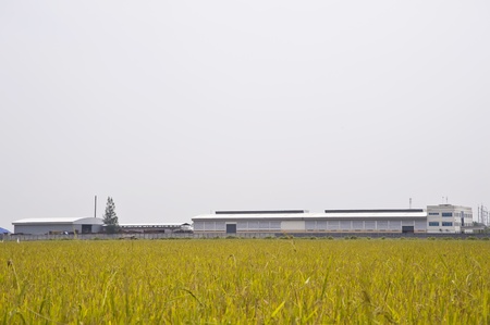 rice fields and factoriesの写真素材