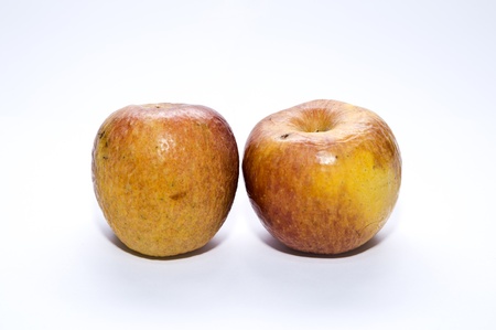 Rotten apples isolatedの写真素材