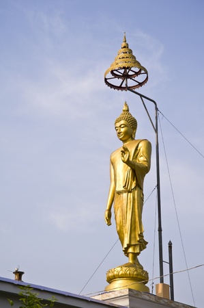 buddha statue in thai templeの写真素材