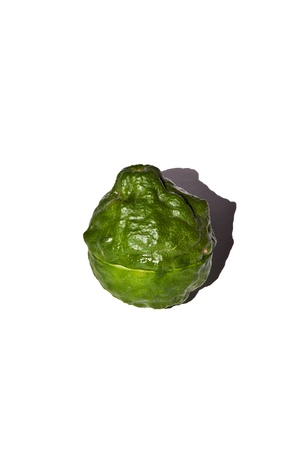 lemon on white backgroundsの写真素材